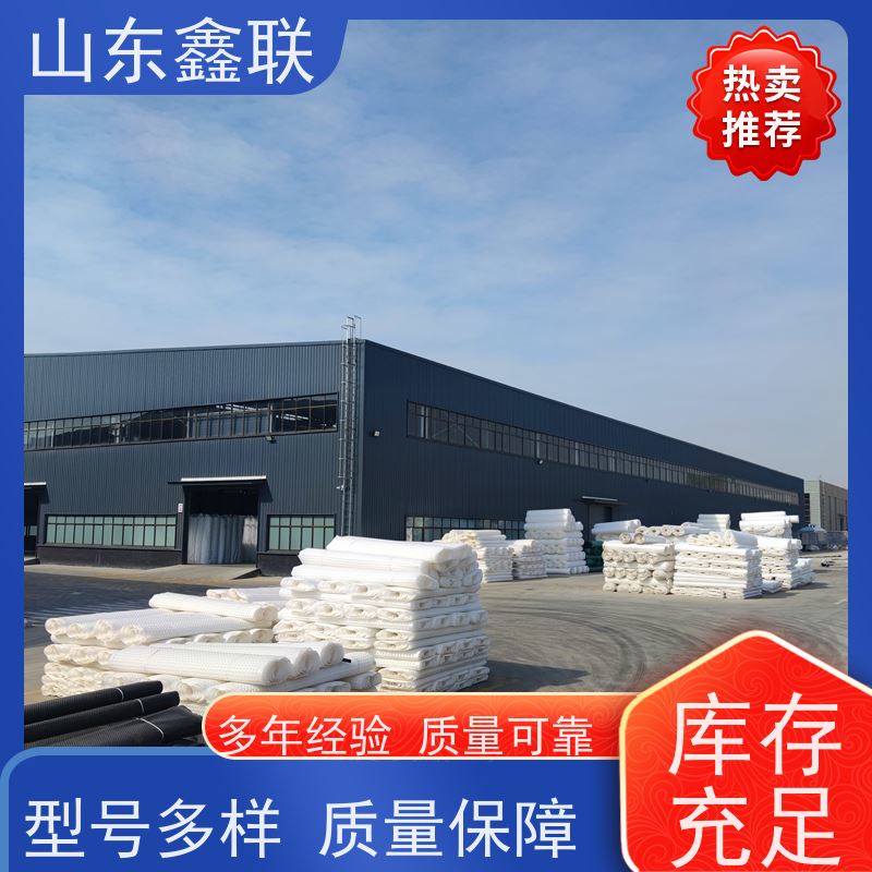 鑫联 黑色国标料 塑料凸片排水层 严选自营 聚乙 烯滤水板