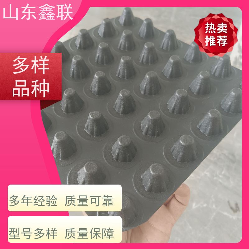 鑫联 40高3*10 塑料凸片排水层 专注生产供应 PE排蓄水板