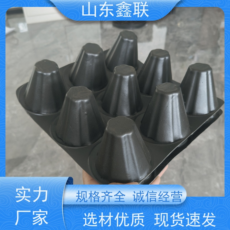 鑫联 40高3*10 塑料凸片排水层 国检认证品质 厚滤水板