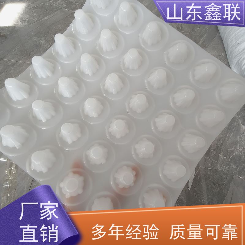 鑫联 黑色国标料 塑料凸片排水层 国检认证品质 PE排蓄水板