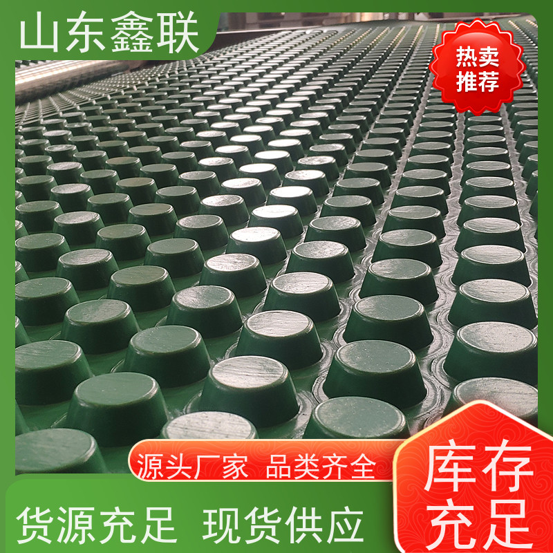 鑫联 2公分厚 塑料凸片排水层 科研创新 PE疏水板