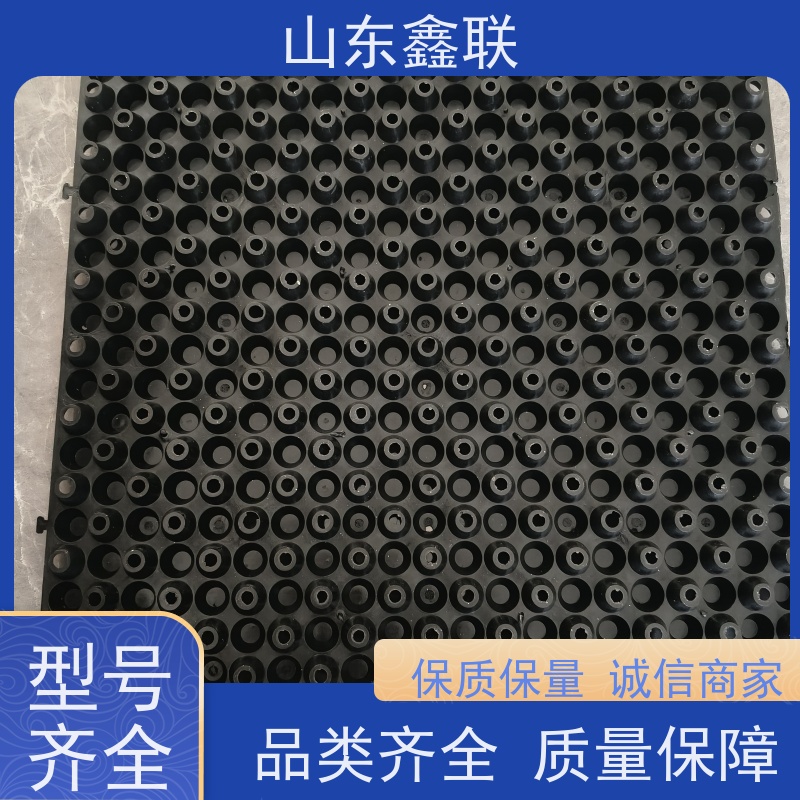 鑫联 黑色国标料 塑料凸片排水层 屋顶花园绿化 PE排蓄水板