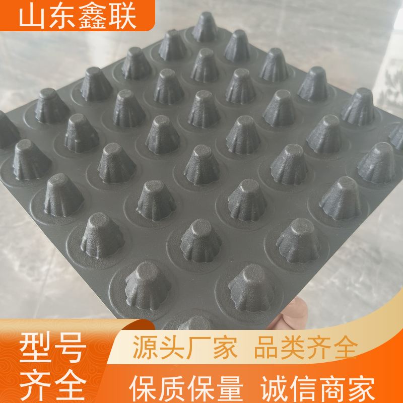 鑫联 6公分黑色 塑料凸片排水层 车库顶板专用 聚乙 烯滤水板