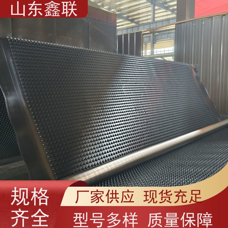 鑫联 2公分厚 塑料凸片排水层 严选自营 聚乙 烯滤水板
