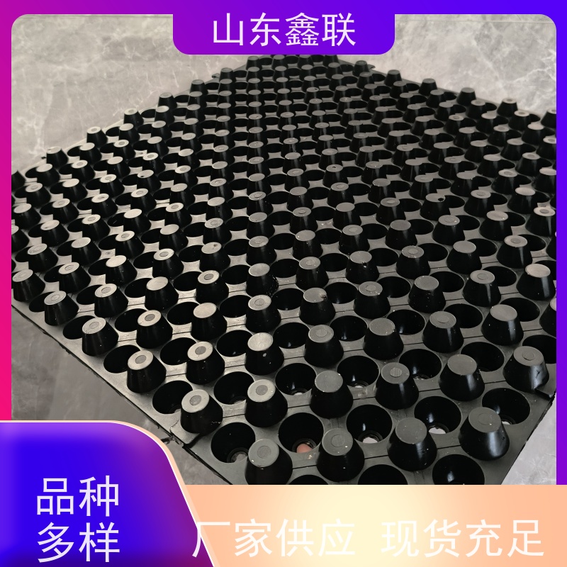鑫联 2公分厚 塑料凸片排水层 大厂实力批发 聚乙 烯滤水板