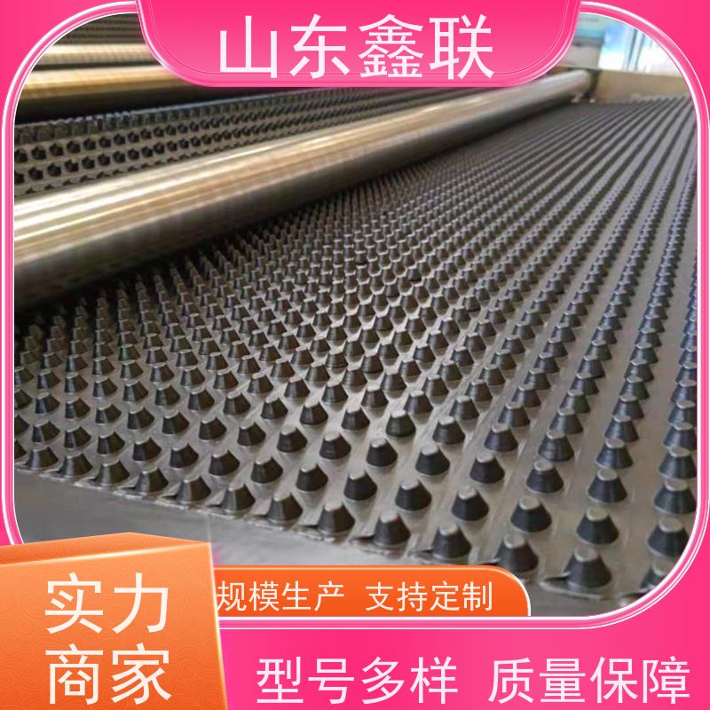 鑫联 白色全新料 塑料凸片排水层 屋顶花园绿化 PE排蓄水板
