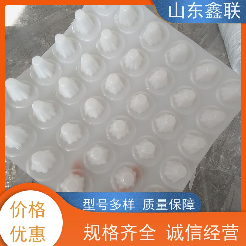 鑫联 50高黑色 塑料凸片排水层 10年大厂品牌 PE疏水板