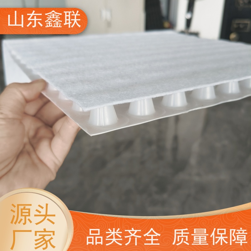 鑫联 黑色国标料 塑料凸片排水层 大厂实力批发 聚乙 烯滤水板