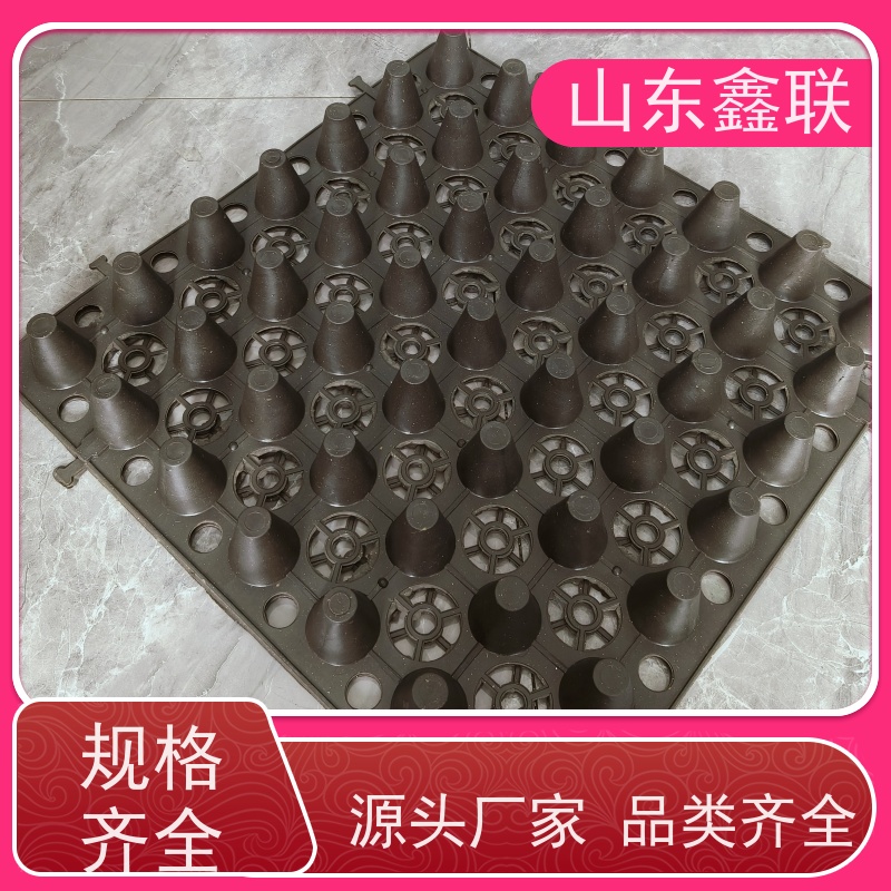 鑫联 3公分高 塑料凸片排水层 厂家施工指导 成品疏水板