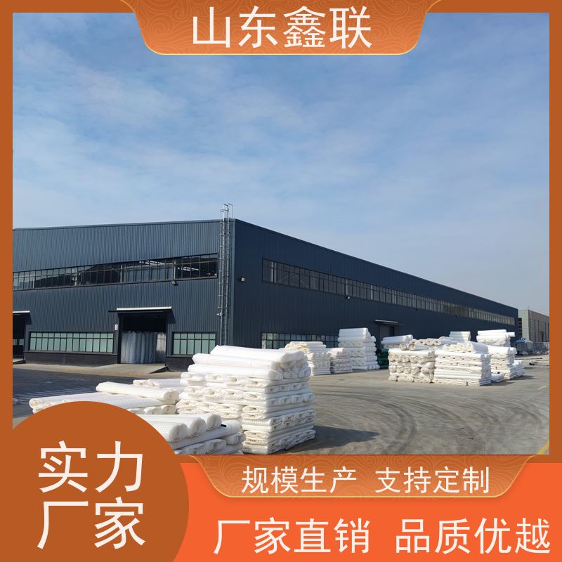 鑫联 白色全新料 塑料凸片排水层 严选自营 聚乙 烯滤水板