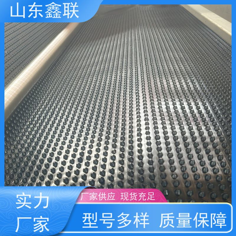 鑫联 6公分黑色 塑料凸片排水层 国检认证品质 厚滤水板