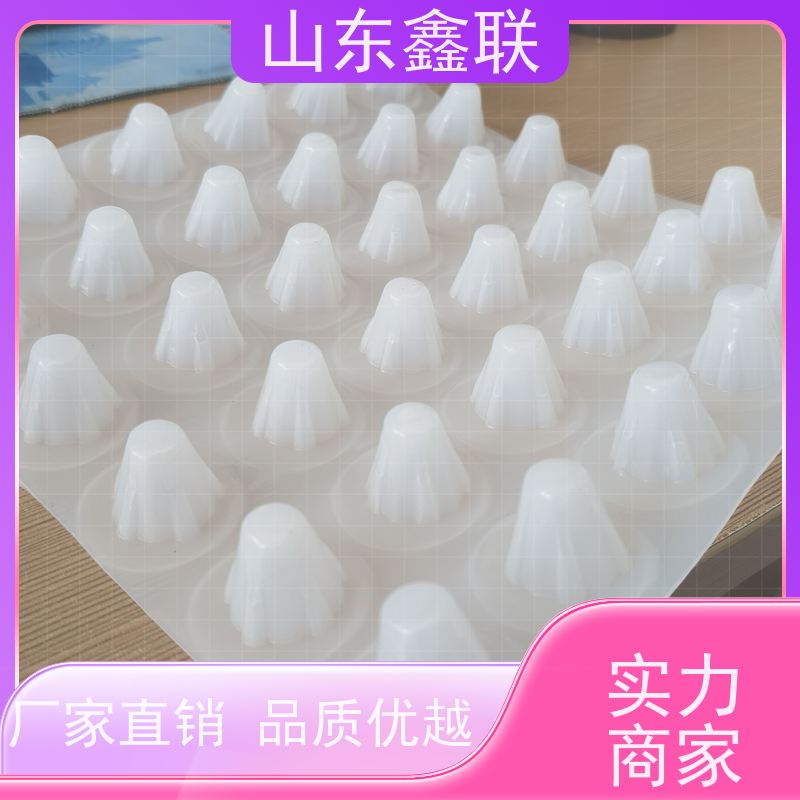 鑫联 黑色国标料 塑料凸片排水层 严选自营 厚滤水板