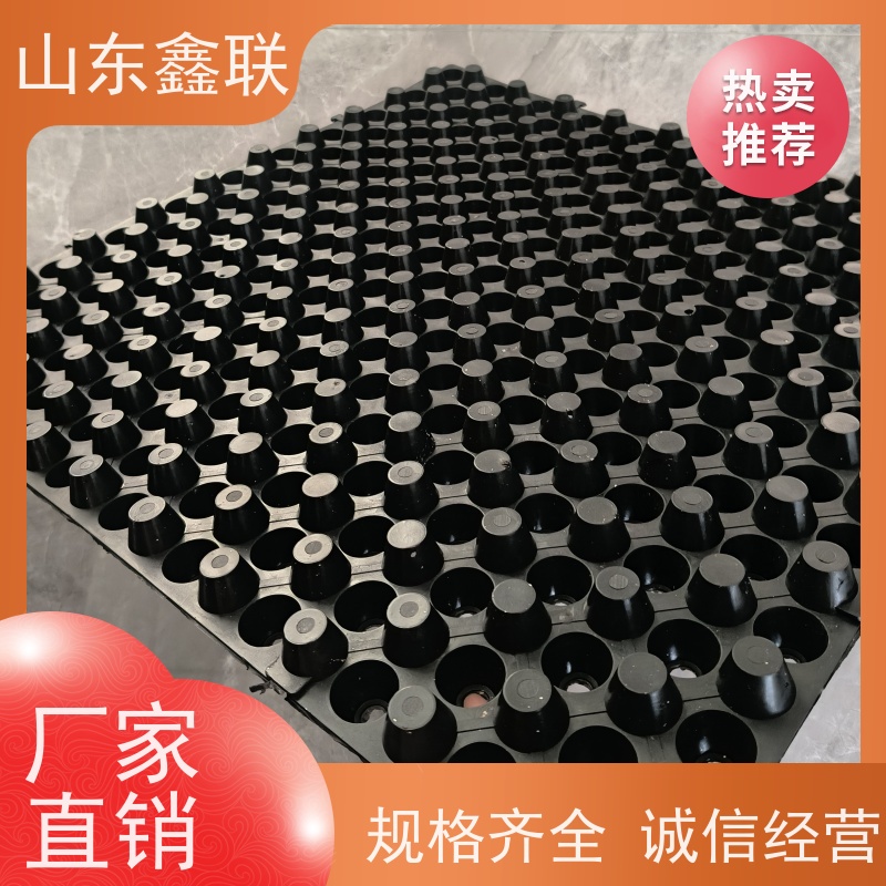 鑫联 40高3*10 塑料凸片排水层 专注生产供应 聚乙 烯滤水板