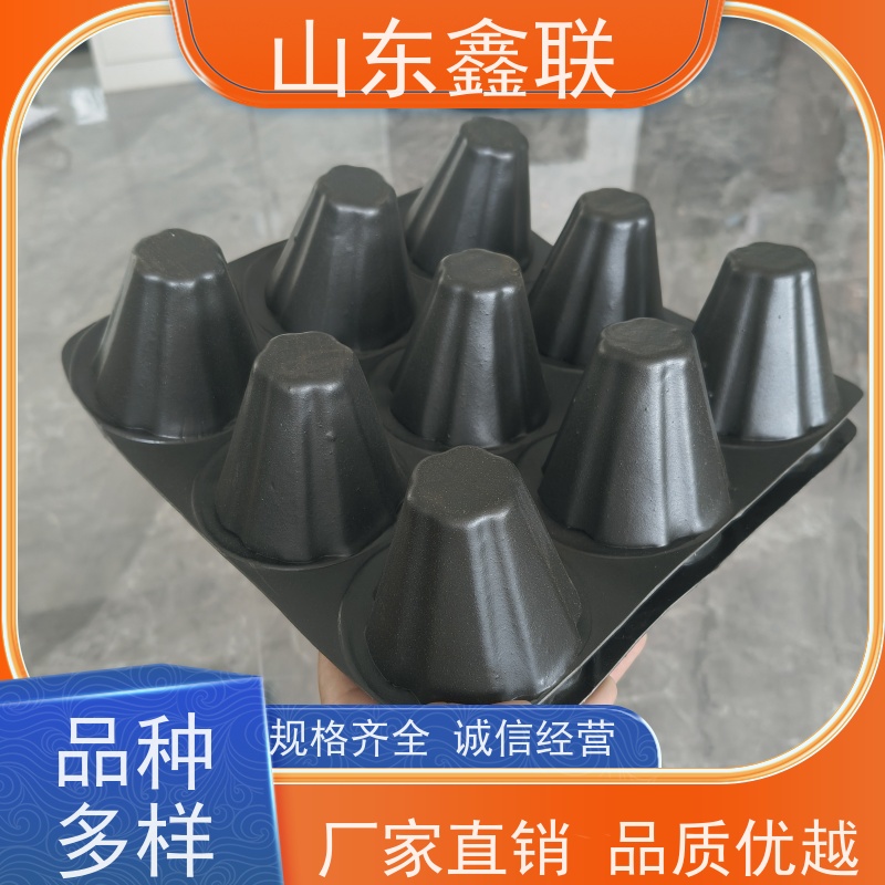 鑫联 14高复合一体 塑料凸片排水层 10年大厂品牌 聚乙 烯滤水板