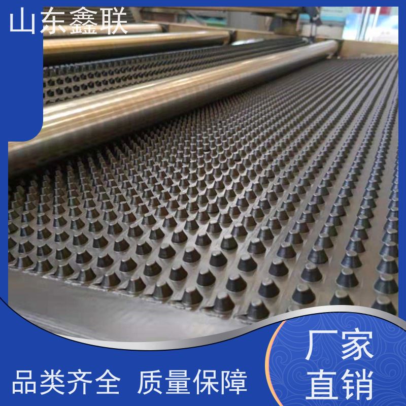 鑫联 40高3*10 塑料凸片排水层 科研创新 单面凸台式高抗冲击滤水板