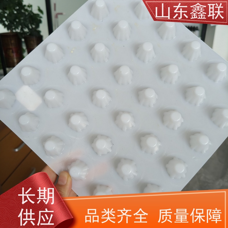 鑫联 6公分黑色 塑料凸片排水层 大厂实力批发 聚乙 烯滤水板