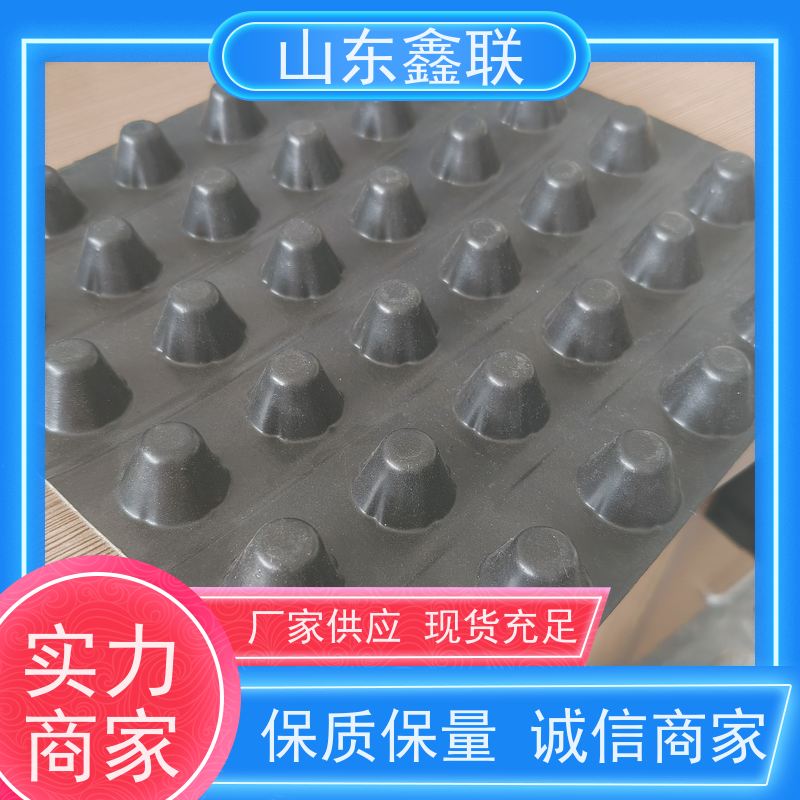 鑫联 爆卖百万平方 塑料凸片排水层 百亩面积厂商 厚滤水板