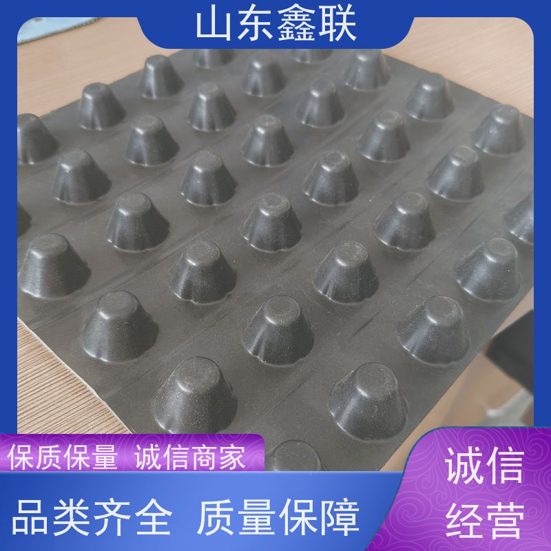 鑫联 3公分高 塑料凸片排水层 车库顶板专用 厚滤水板