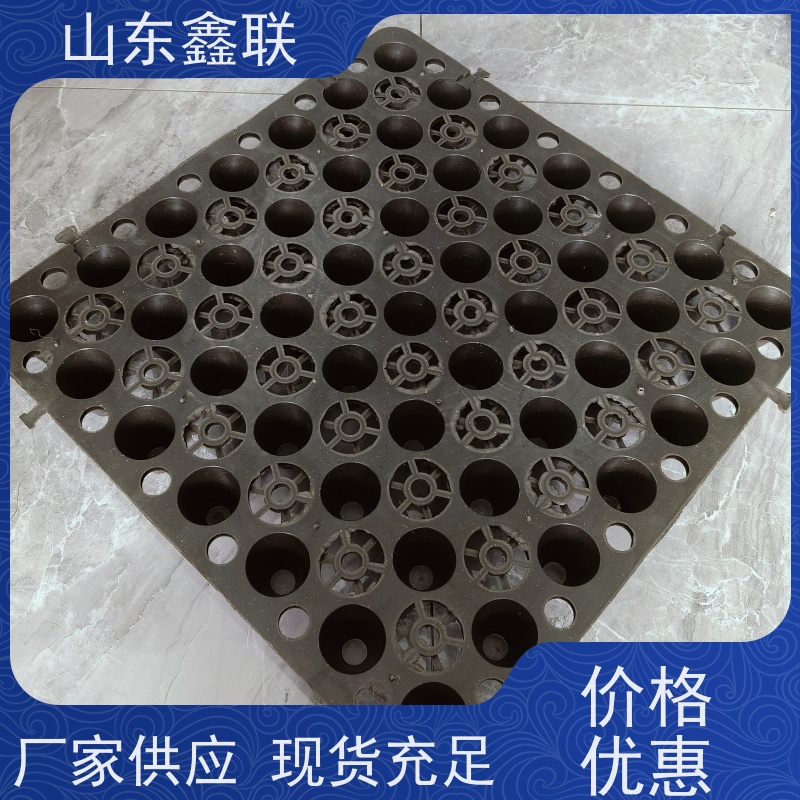 鑫联 黑色国标料 塑料凸片排水层 国检认证品质 厚滤水板