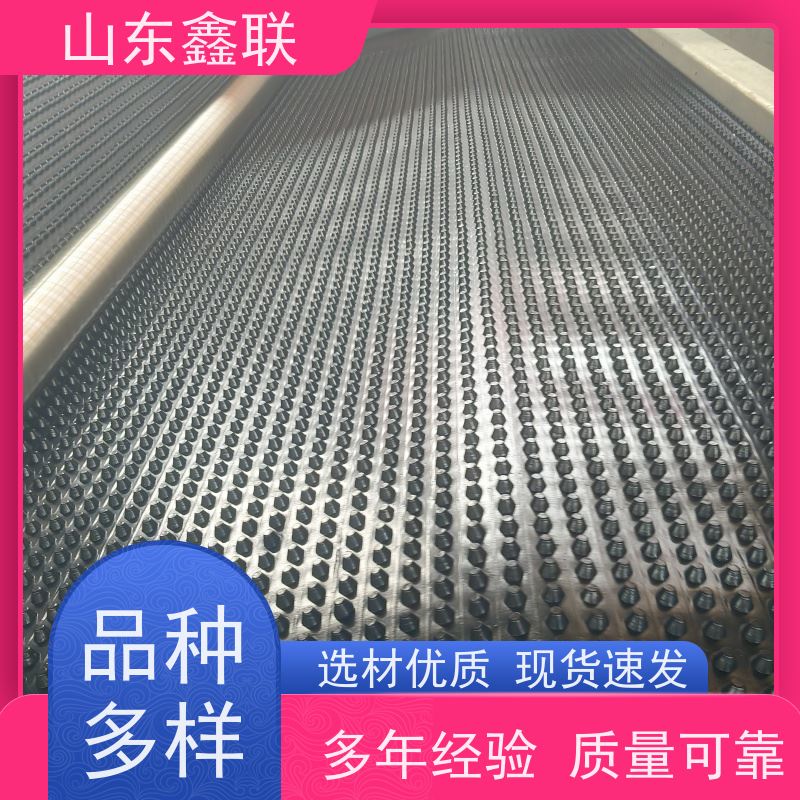 鑫联 16公分大杯口 塑料凸片排水层 百亩面积厂商 PE排蓄水板