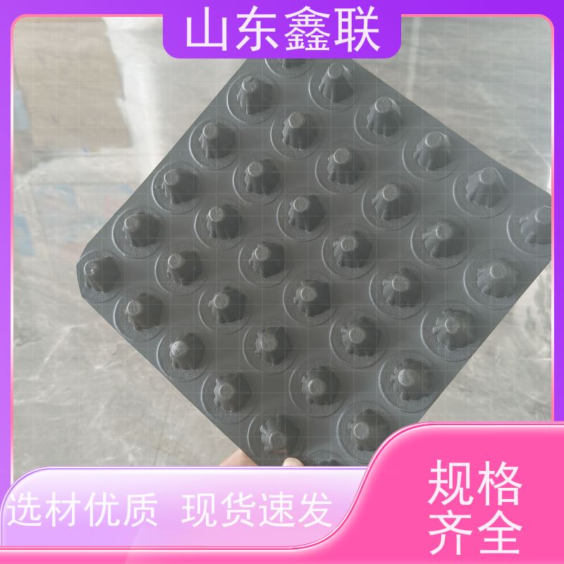 鑫联 3公分高 塑料凸片排水层 10年大厂品牌 聚乙 烯滤水板