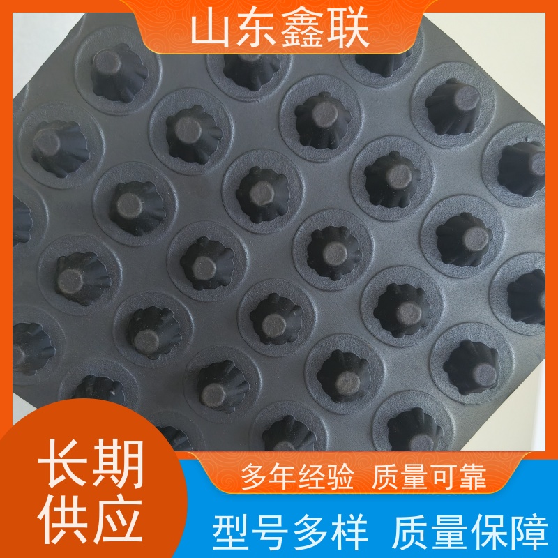 鑫联 白色全新料 塑料凸片排水层 科研创新 单面凸台式高抗冲击滤水板