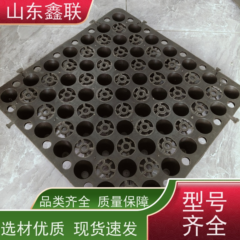 鑫联 40高3*10 塑料凸片排水层 车库顶板专用 PE疏水板