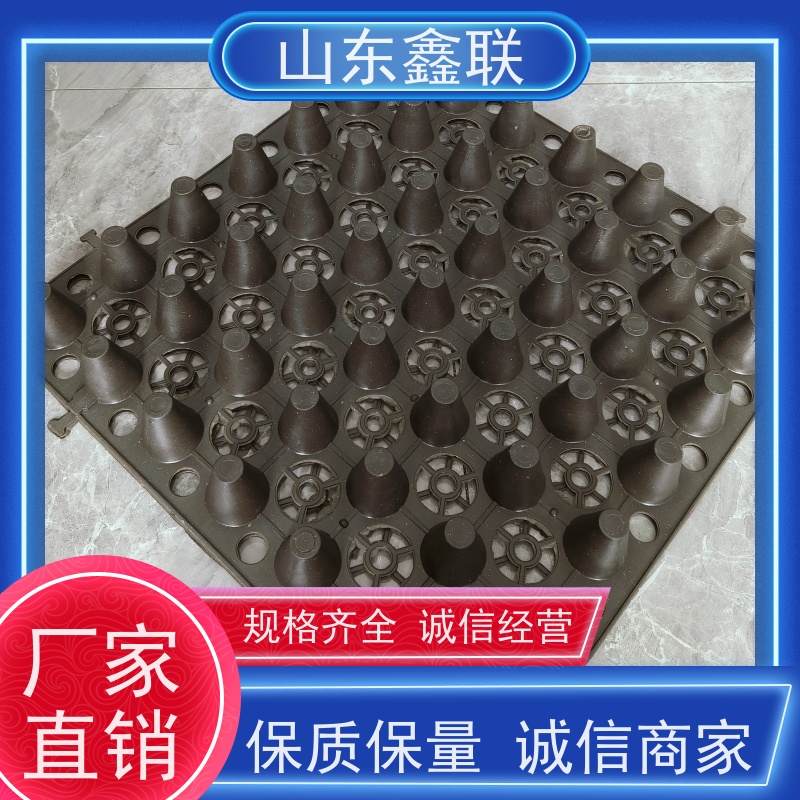 鑫联 爆卖百万平方 塑料凸片排水层 厂家施工指导 聚乙 烯滤水板