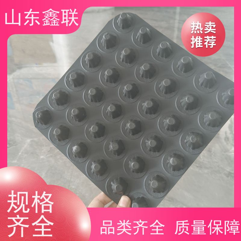 鑫联 爆卖百万平方 塑料凸片排水层 车库顶板专用 成品疏水板