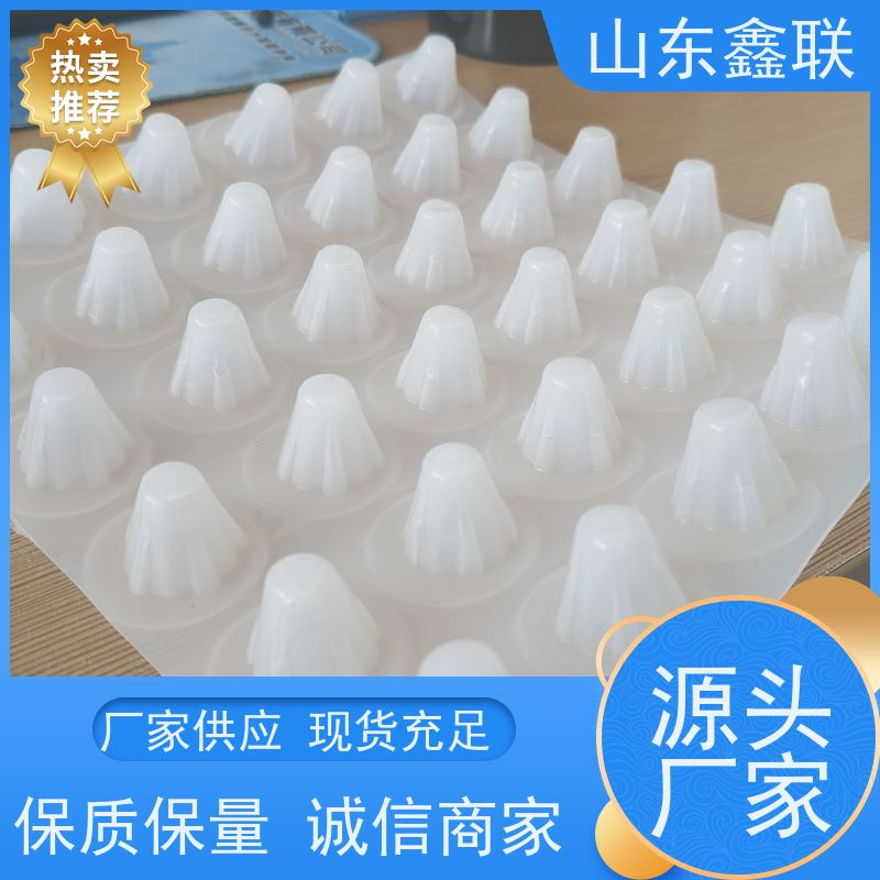 鑫联 1公分高 塑料凸片排水层 科研创新 聚乙 烯滤水板