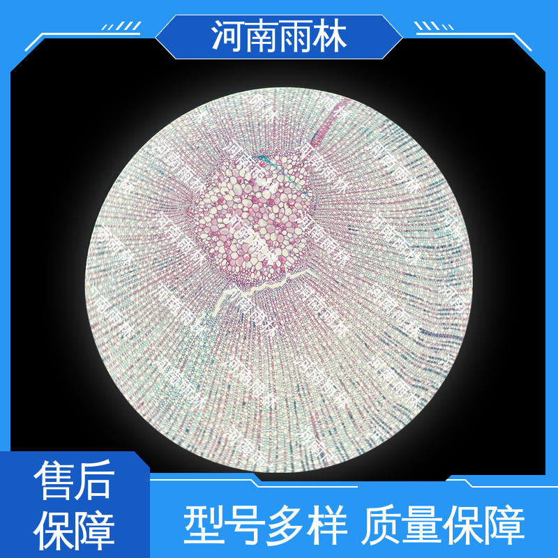 雨林教育 可后期加工 个性化定做 品质优良 教学切片
