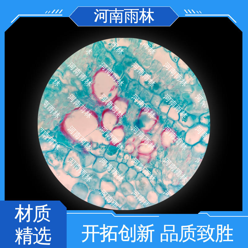 雨林教育工程 性价比高 病害标本 厂家销售 一对一质检