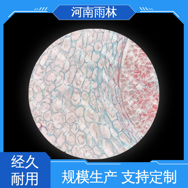 雨林教育工程 实验标本 专业 可提供材料 切片安全