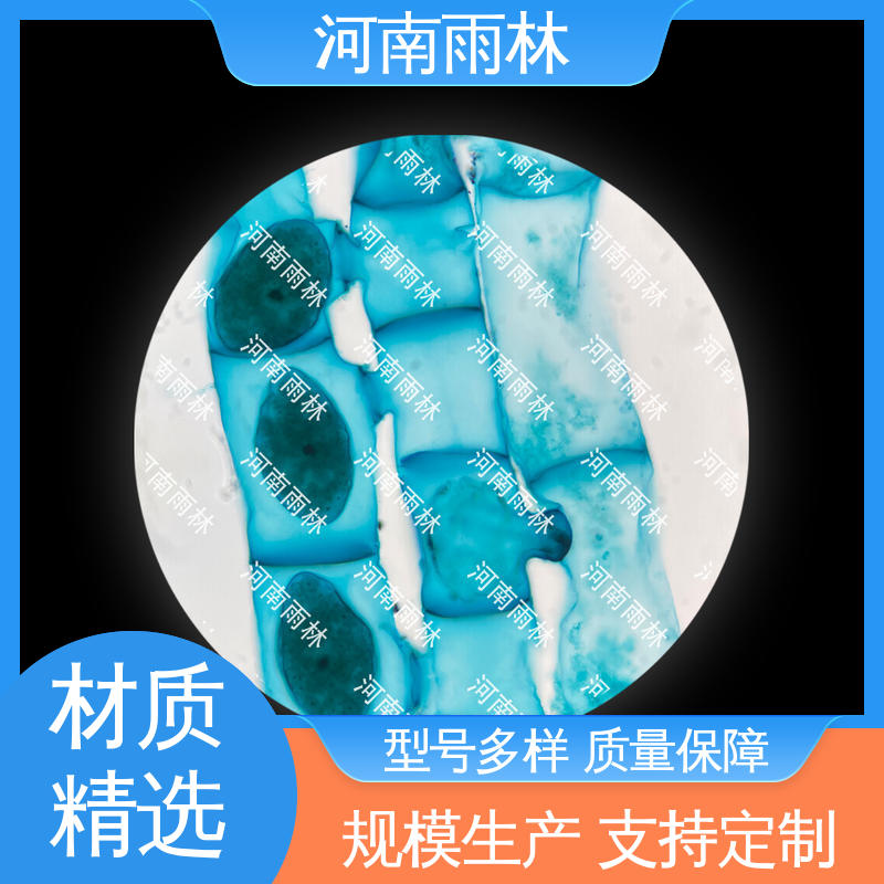 售后无忧 一对一质检 源头工厂 生物切片 雨林教育
