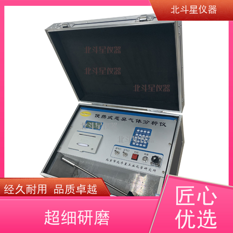 北斗星仪器 PGas-200-5s-09-odor 实时连续监测 恶臭异味检测仪