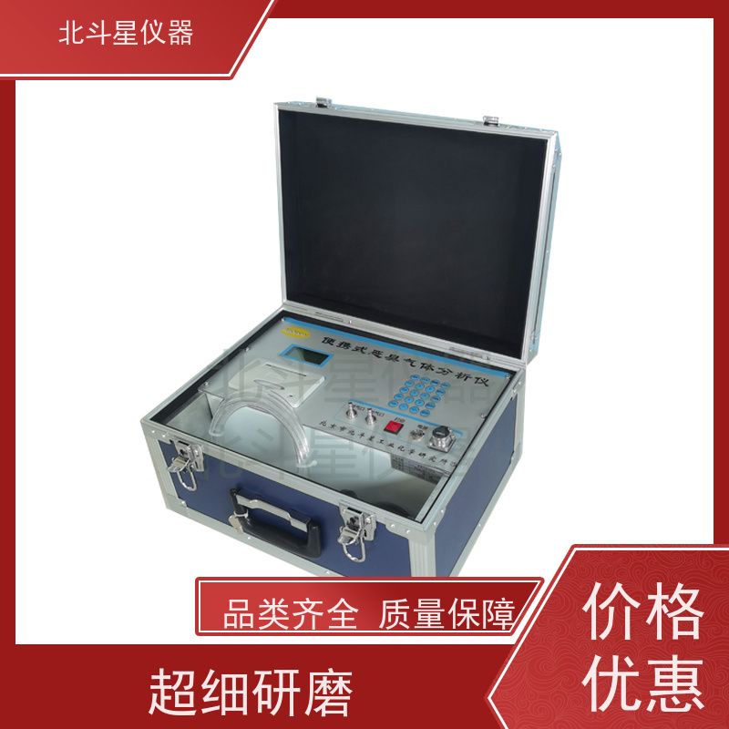 北斗星仪器 工业园区周边空气巡检恶臭分析仪 快速准确 经济实用
