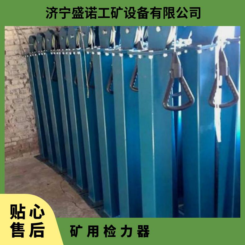 盛诺双人检力器YSJ-20 碳钢材质和不锈钢材质救援队拉练 耐力测试 