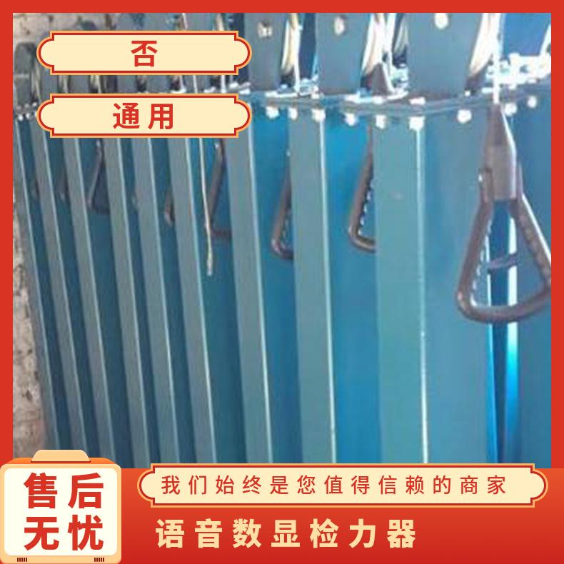 煤矿数显报数20KG拉高1.2m双人检力器YSJ-20 碳钢材质和不锈钢材