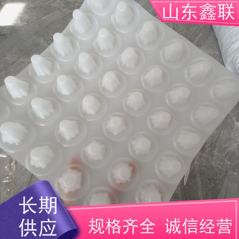 鑫联 20大杯口蓝色底板专用 塑料凸片排水层 百亩面积厂商 成品疏水板