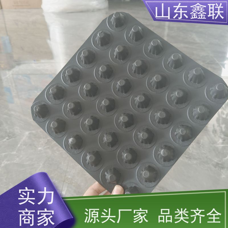 鑫联 爆卖百万平方 塑料凸片排水层 国检认证品质 聚乙 烯滤水板