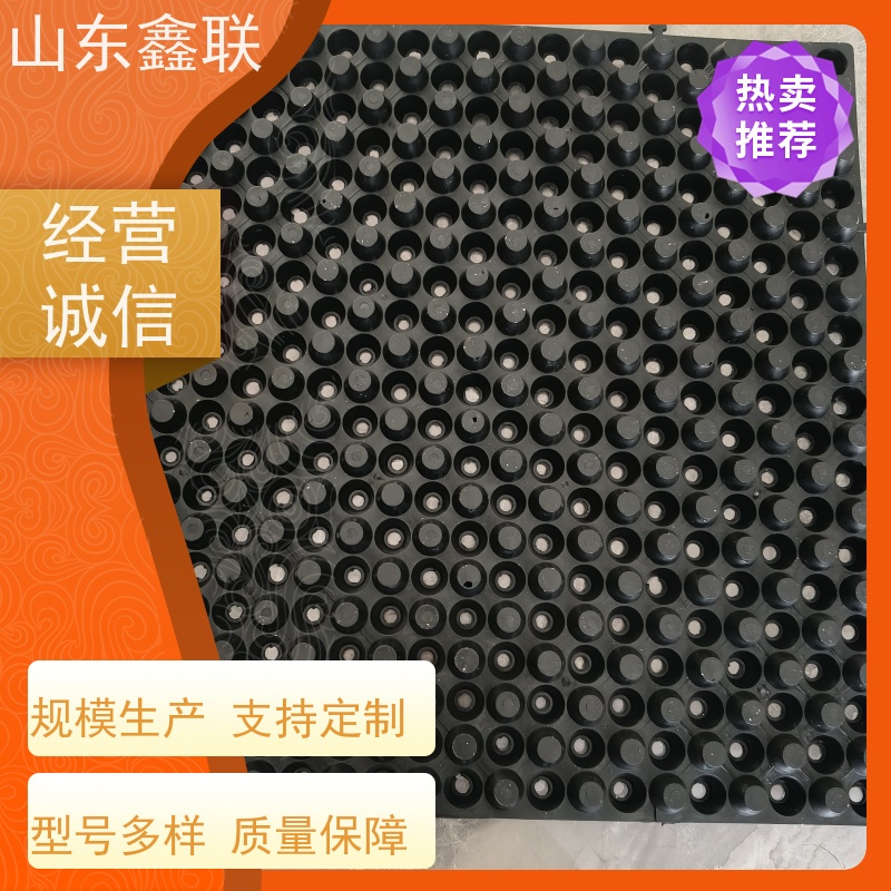 鑫联 2公分厚 塑料凸片排水层 科研创新 成品疏水板