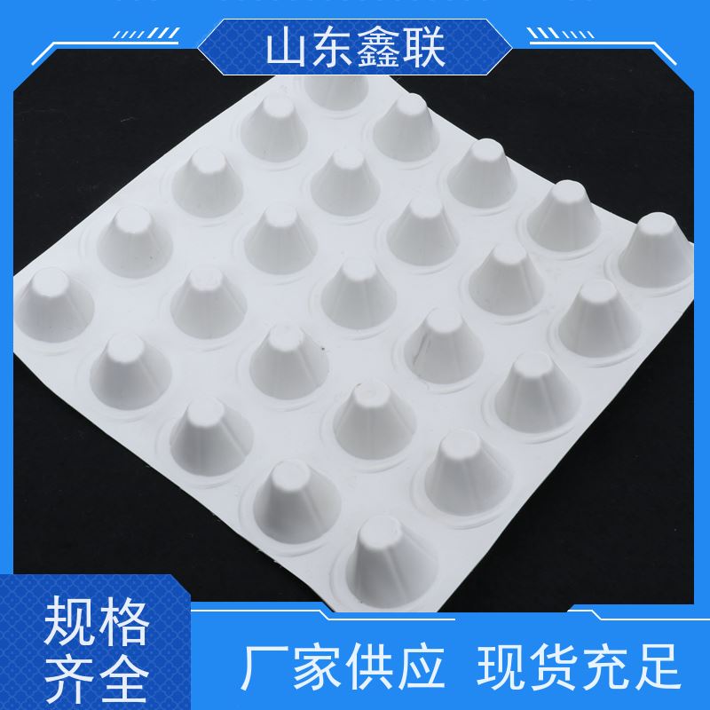 鑫联 黑色国标料 塑料凸片排水层 百亩面积厂商 厚滤水板