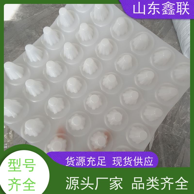 鑫联 50高黑色 塑料凸片排水层 大厂实力批发 成品疏水板