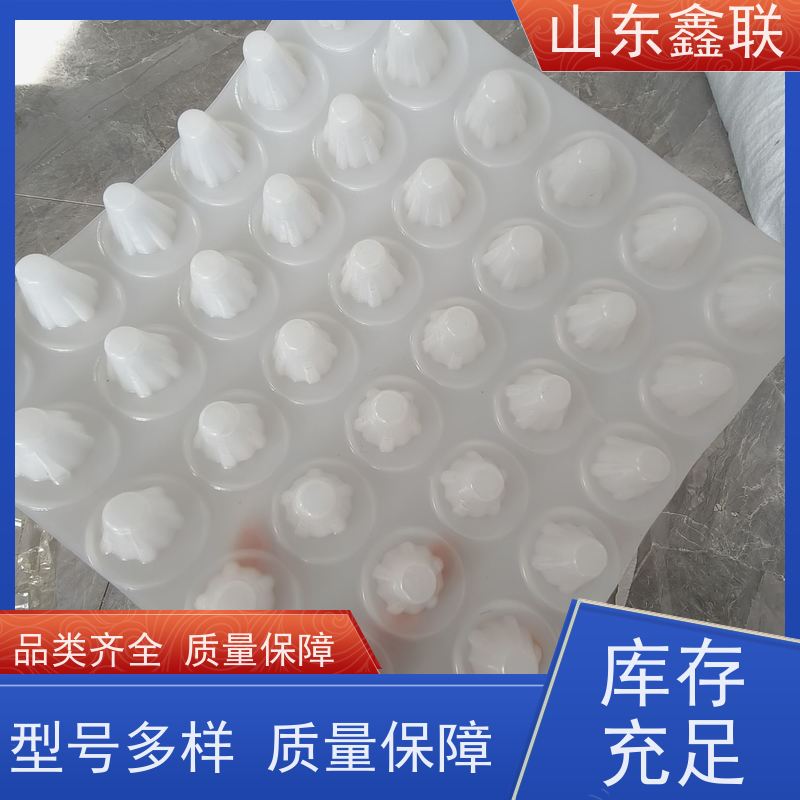 鑫联 2公分厚 塑料凸片排水层 大厂实力批发 成品疏水板