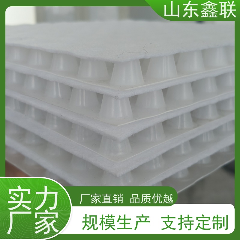 鑫联 黑色国标料 塑料凸片排水层 屋顶花园绿化 PE疏水板