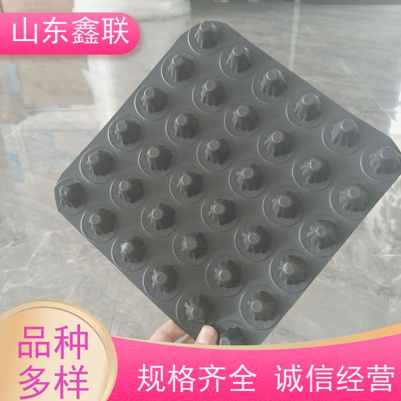 鑫联 黑色国标料 塑料凸片排水层 科研创新 PE排蓄水板