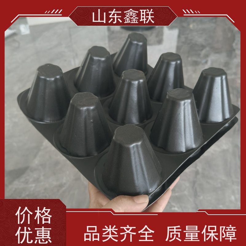 鑫联 1公分高 塑料凸片排水层 严选自营 PE疏水板