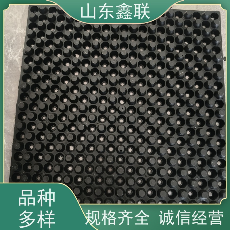 鑫联 黑色国标料 塑料凸片排水层 百亩面积厂商 PE排蓄水板