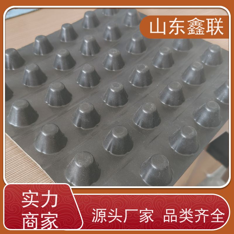 鑫联 2公分厚 塑料凸片排水层 严选自营 单面凸台式高抗冲击滤水板