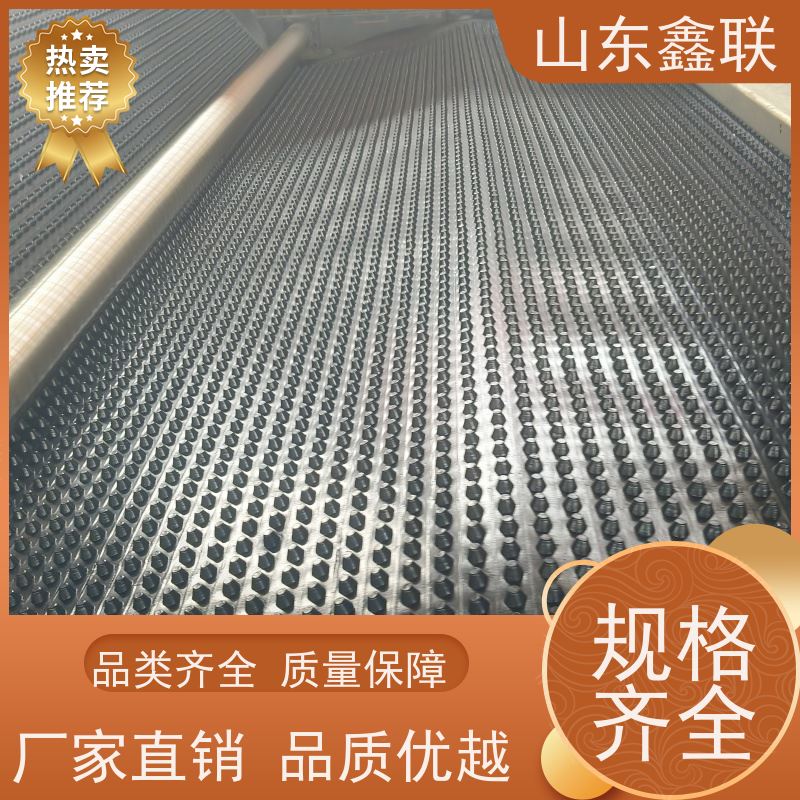 鑫联 1公分高 塑料凸片排水层 严选自营 PE排蓄水板